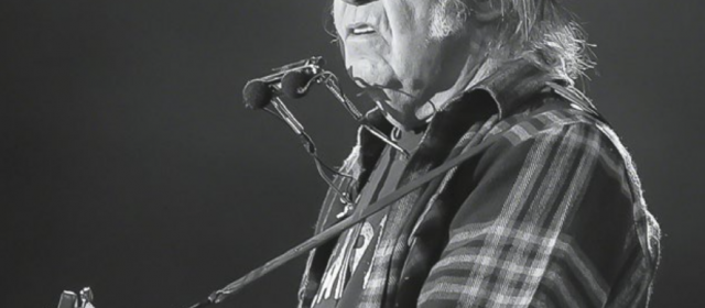 NEIL YOUNG VOIT ROUGE
