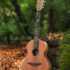 VARIATION D’AUTOMNE POUR ED SHEERAN