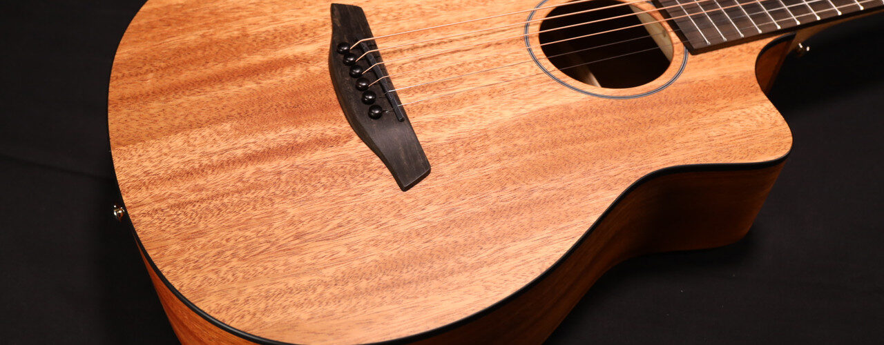 FURCH GUITARS UPGRADE SA SÉRIE PIONEER