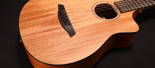 FURCH GUITARS UPGRADE SA SÉRIE PIONEER